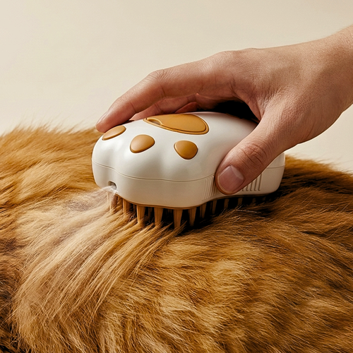 WHYSK Steam Brush