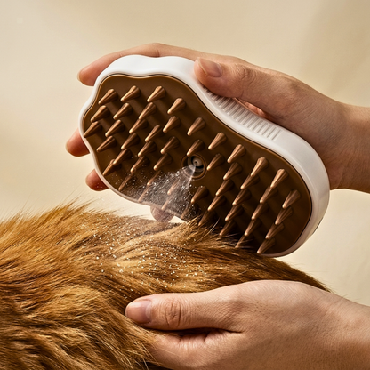 WHYSK Steam Brush
